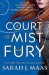 Acourt of mist and fury